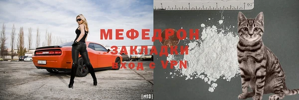 индика Магас