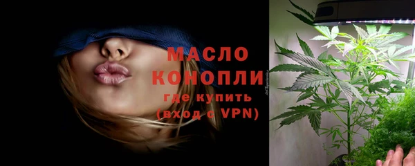индика Магас