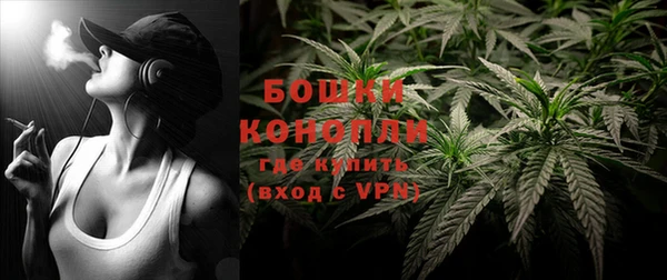 индика Магас