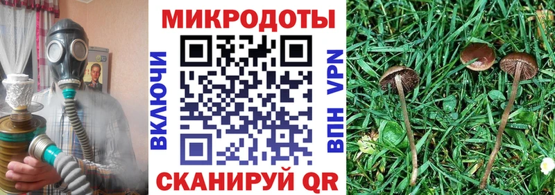 купить наркотик  Лиски  Псилоцибиновые грибы ЛСД 