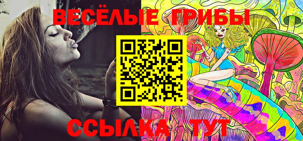 Псилоцибиновые грибы Cubensis Лиски